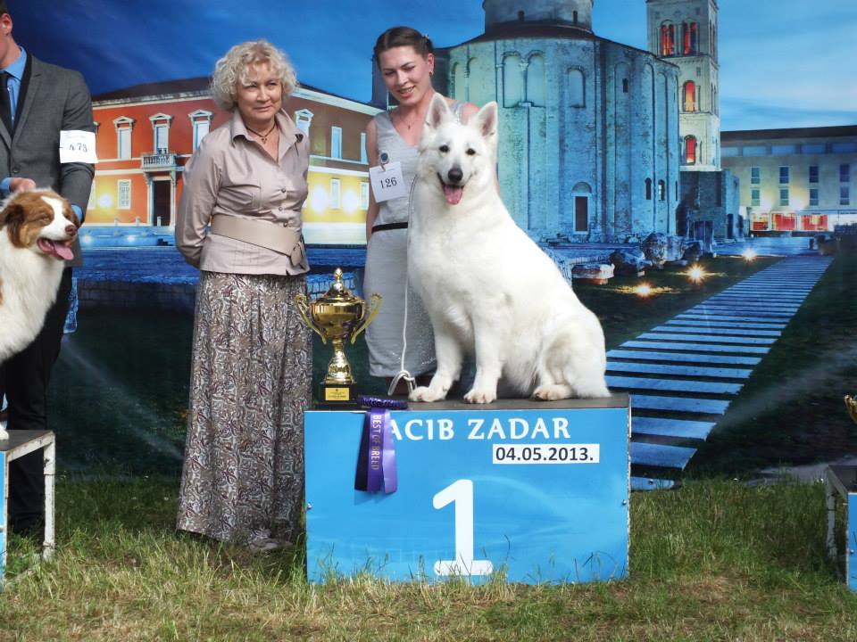 Baltic Beauty  Crystal Siberian Wolf Best in group - 1